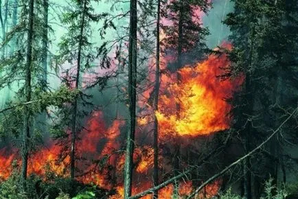 Riscul de incendii forestiere