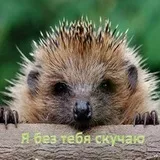 Ce ai învățat părinții tăi