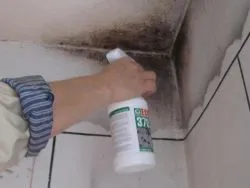 mucegai negru pe pereți - cum să scape de (mucegai) mucegai negru pe pereți - cum să scape