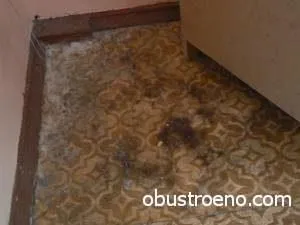 Curățarea linoleum decât înveliș transparent la domiciliu