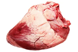 Ce să gătească inima de carne de vită - totul despre mâncare și prepararea sa (se clătește inima de carne de vită) Ce să gătească inima de carne de vită - totul despre mâncare și pregătirea acestuia