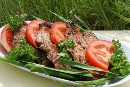 Ce să gătească pentru un picnic - rețete picnic