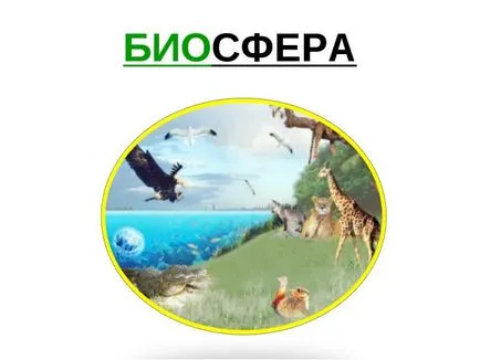 Care este definiția Biosferei