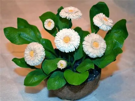 Ce este argila polimer, și că un astfel de similitudini de porțelan rece și diferențe, casnică (Floristica ceramică) Ce este argila polimer, și că o astfel de porțelan rece asemănări și deosebiri, casnică