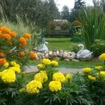Flori de gradina (48 fotografii), în special frumoase grădini de flori, cum să faci o movilă de flori, foto și video