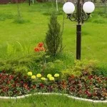 Flori de gradina (48 fotografii), în special frumoase grădini de flori, cum să faci o movilă de flori, foto și video