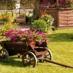 Flori de gradina (48 fotografii), în special frumoase grădini de flori, cum să faci o movilă de flori, foto și video