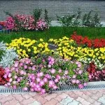 Flori de gradina (48 fotografii), în special frumoase grădini de flori, cum să faci o movilă de flori, foto și video