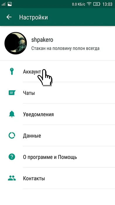 Ce este vatsap și cum să folosească în mod corespunzător