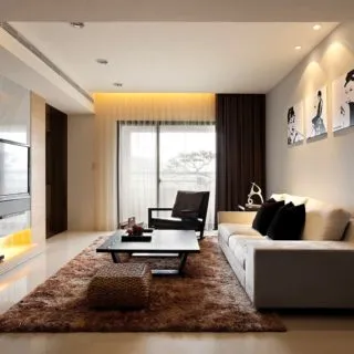 Decorul în camera de zi - 80 fotografii de idei de design neobișnuite în interior (de idei) Decorul în camera de zi - 80 fotografii de idei de design neobișnuite în interior