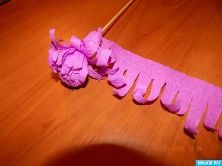flori Aster de hârtie ondulat
