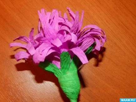 flori Aster de hârtie ondulat