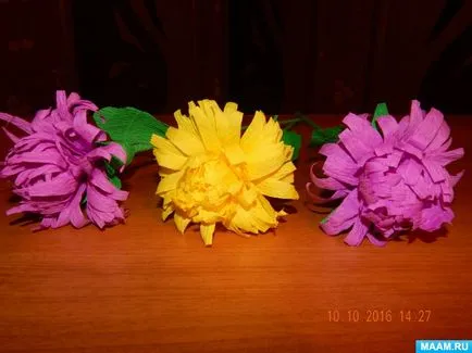 flori Aster de hârtie ondulat