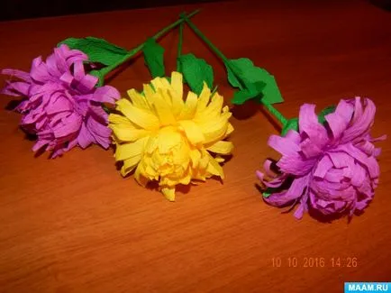 flori Aster de hârtie ondulat