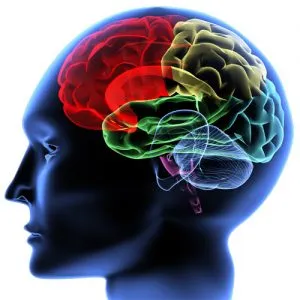 Boala de demielinizare a creierului, a sistemului nervos ceea ce este (o boală) Boala de demielinizare a creierului, a sistemului nervos ceea ce este