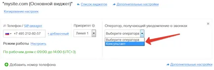 Setările detaliate pentru linii telefonice și widget-uri - compania redhelper
