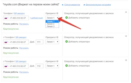Setările detaliate pentru linii telefonice și widget-uri - compania redhelper