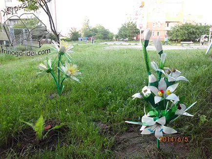 Copaci și flori din sticle de plastic