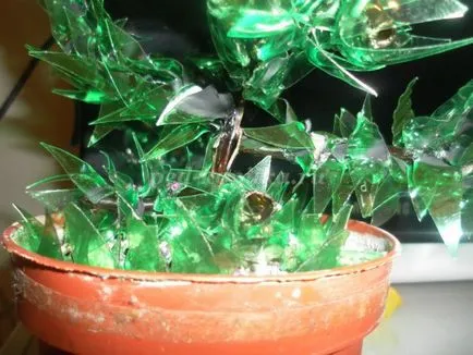 Lemn din sticle de plastic cu propriile lor mâini
