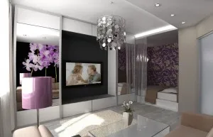 cameră de zi și dormitor de design într-o singură cameră zonarea corespunzătoare
