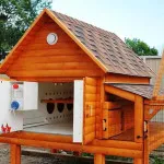 Casa pentru puii cu propriile lor mâini construit special atelier și foto (construcții) Casa pentru puii cu mâinile lor în special în clădiri, atelier și fotografie