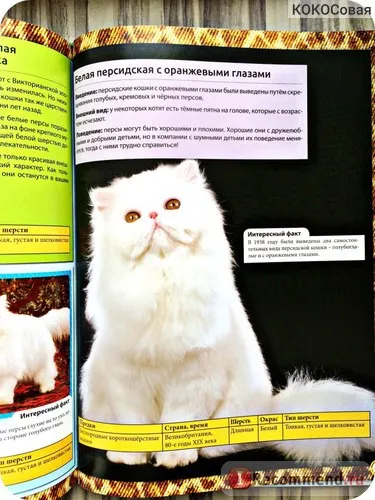 Enciclopedia Cat