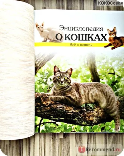 Enciclopedia Cat