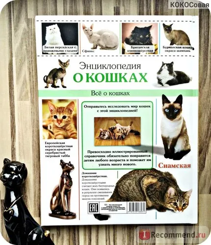 Enciclopedia Cat