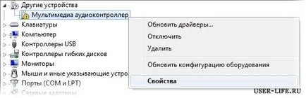Drivere pentru ferestre