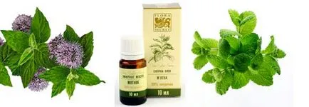 Menta proprietăți de uleiuri esențiale și metode de utilizare