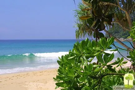 concediu la prețuri accesibile pe insula Phuket din Thailanda