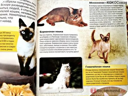 Enciclopedia Cat