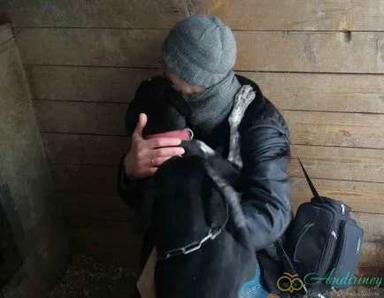 Excursie la canisa husky și câini de sanie - andiriney