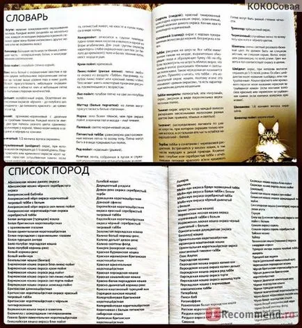 Enciclopedia Cat