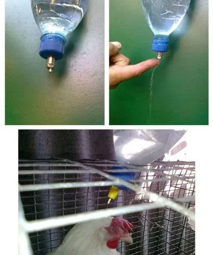 Două instrucțiuni cum să facă un tip biberon pentru pui cu mâinile lor