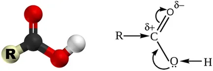carboxilic Formula în chimie