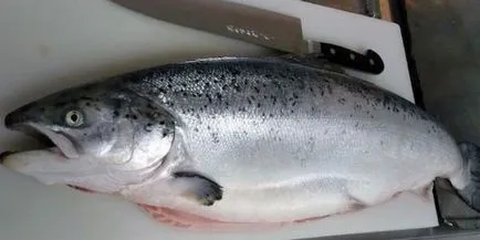 Trout coapte în cuptor (în ansamblu, în folie) rețete