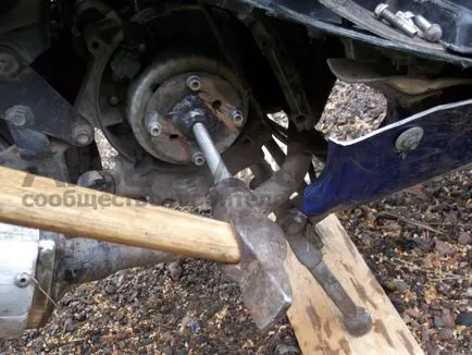 Fotografii de la îndepărtarea generator de scuter, Alisa-motoare