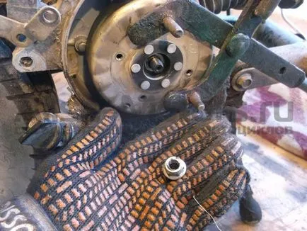 Fotografii de la îndepărtarea generator de scuter, Alisa-motoare