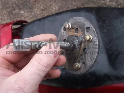 Fotografii de la îndepărtarea generator de scuter, Alisa-motoare