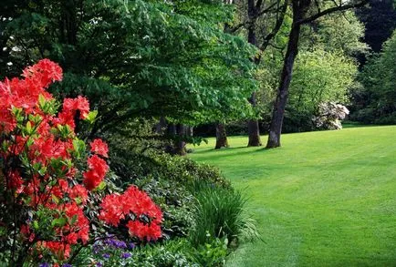 iarbă de gazon cum să planteze și când (plante) iarbă de gazon cum să planteze și când