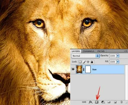 Photoshop pentru incepatori masca strat, lecții