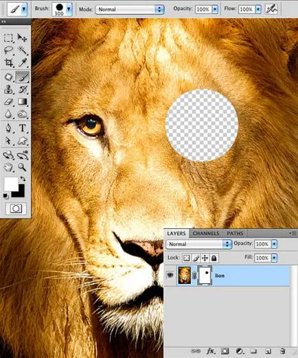 Photoshop pentru incepatori masca strat, lecții