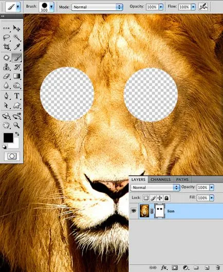 Photoshop pentru incepatori masca strat, lecții