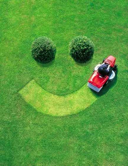 iarbă de gazon cum să planteze și când (gazon) iarbă de gazon cum să planteze și când