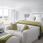 Cameră de zi și dormitor într-o singură cameră 75 de fotografii, zonarea si design idei