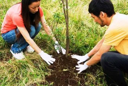 aniversare de nunta - 5 ani de căsătorie