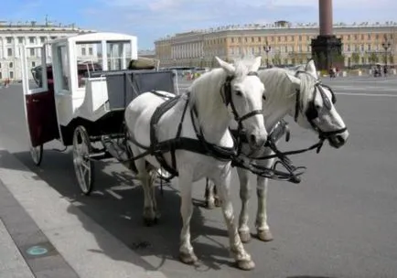 Cartagina în România - toate specificul utilizării sale, inclusiv a regulilor de circulație (transport) Cartagina în România - toate specificul utilizării sale, inclusiv reglementările