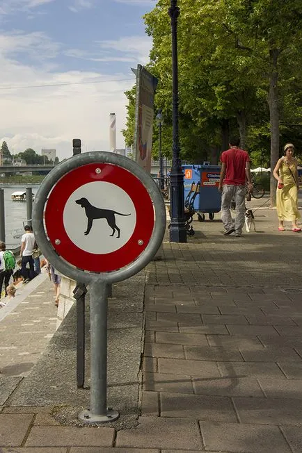 City, convenabil pentru câini
