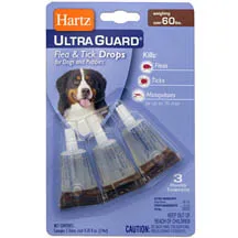 Hartz - protecția eficientă a câinilor și a pisicilor de purici, căpușe și țânțari picături, gulere, șampoane, spray-uri